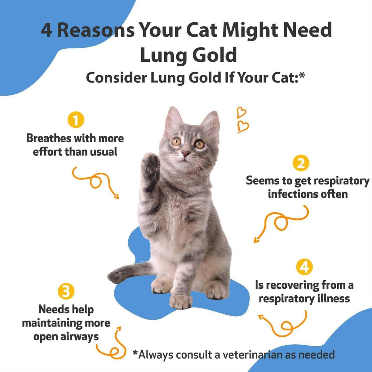 Lung Gold for Cats F466521