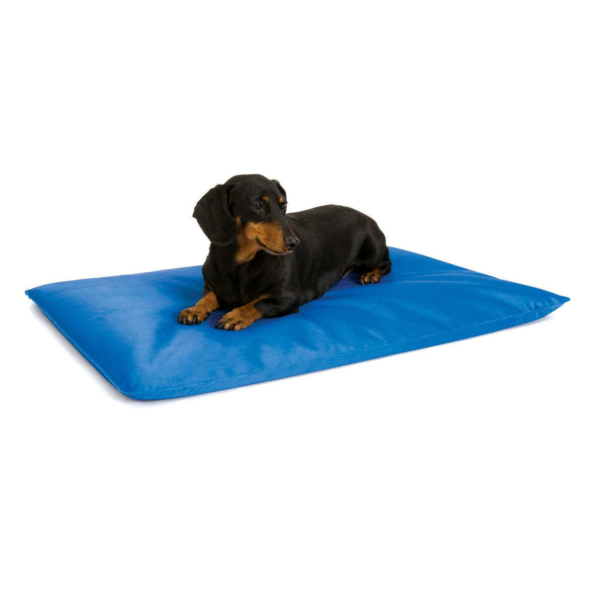 Cool Pet Bed N8879