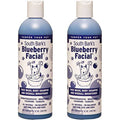 Blueberry Facial Shampoo for Dogs & Cats 2 Pack E8634