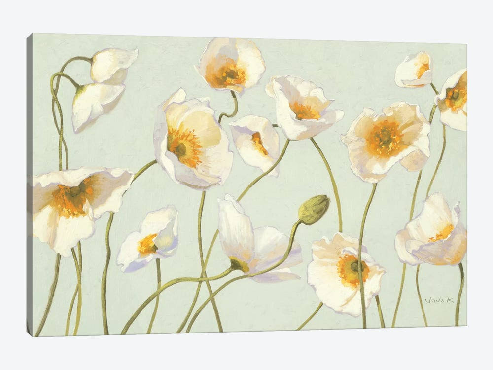 White and Bright Poppies Canvas Wall Decor Prints S8704