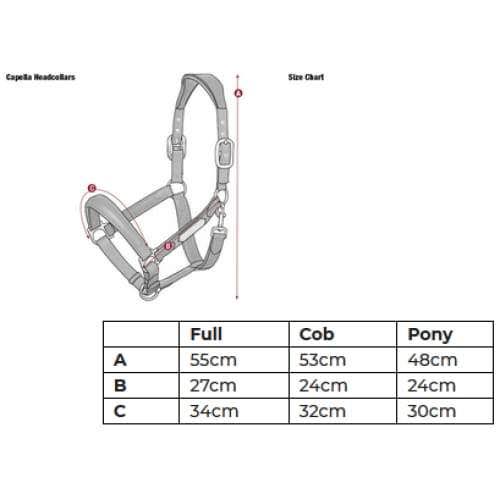 Navy COB Headcollar J915438
