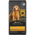 Chicken & Rice Dog Food J950702