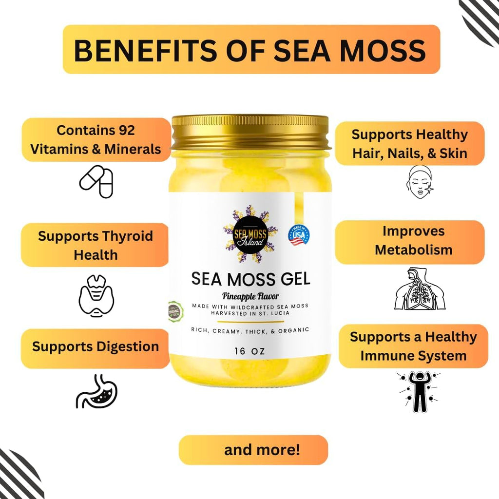 Organic Wildcrafted Irish Seamoss Gel E1829