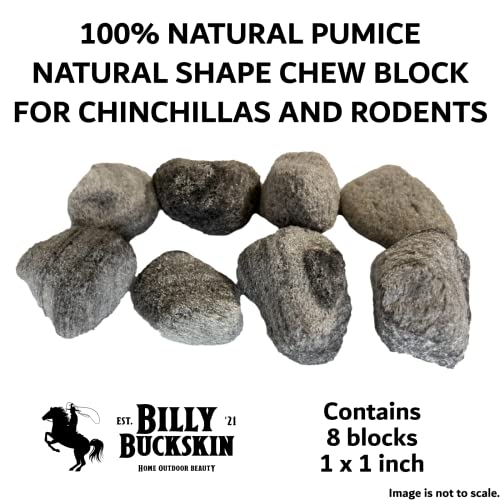 Volcanic Pumice Chinchilla Chew Block L939031