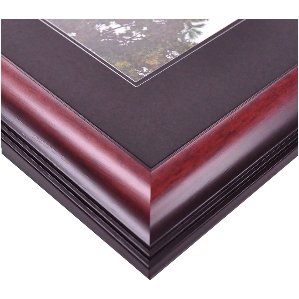 14 x 11 in. Satin Mahogany Diploma Frame S30360