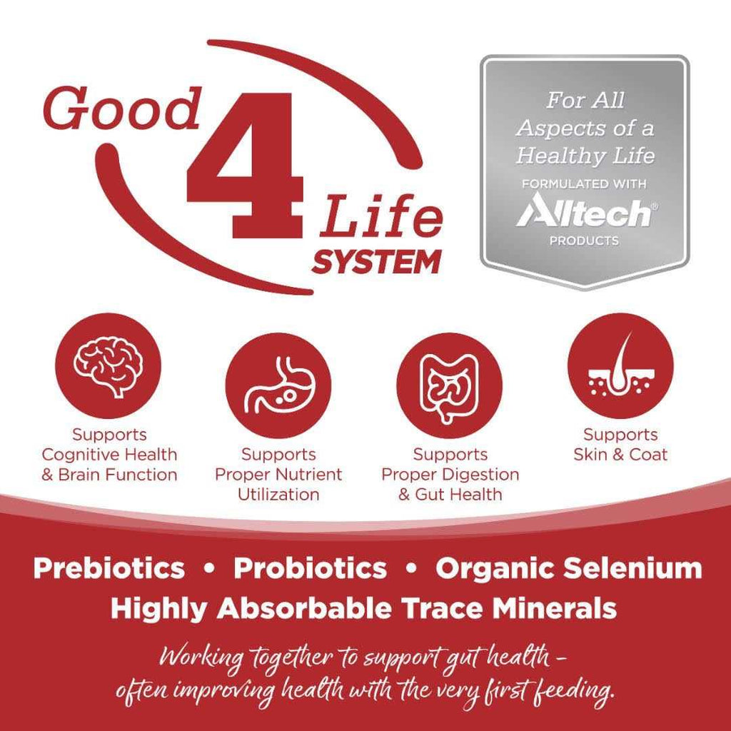 Beef & Red Lentils Grain Free Dry Dog Food M272