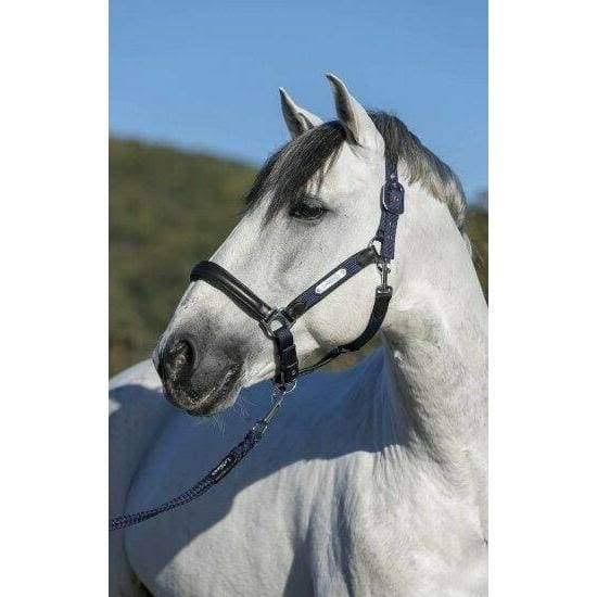 Navy COB Headcollar J915438