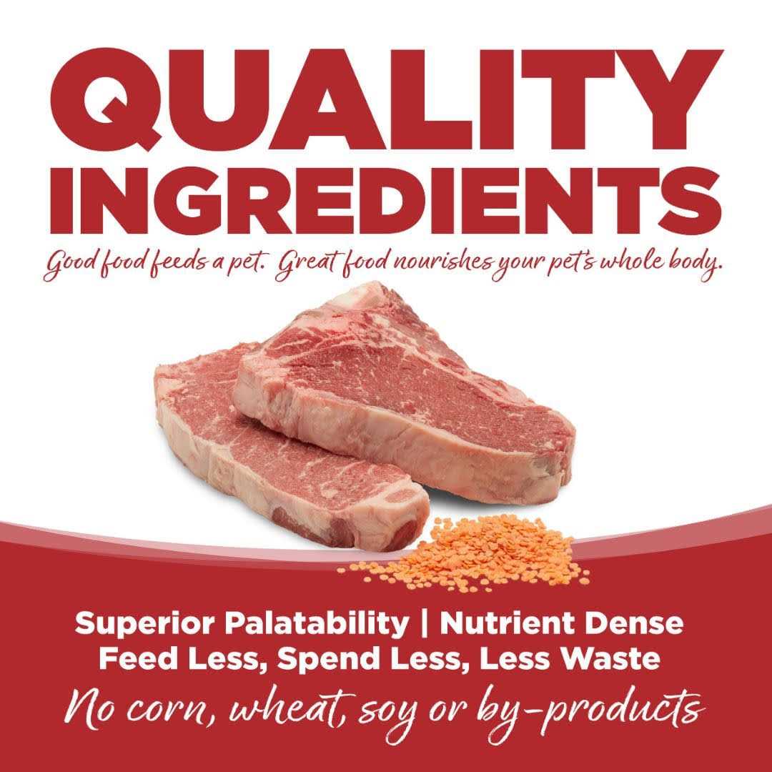 Beef & Red Lentils Grain Free Dry Dog Food M272