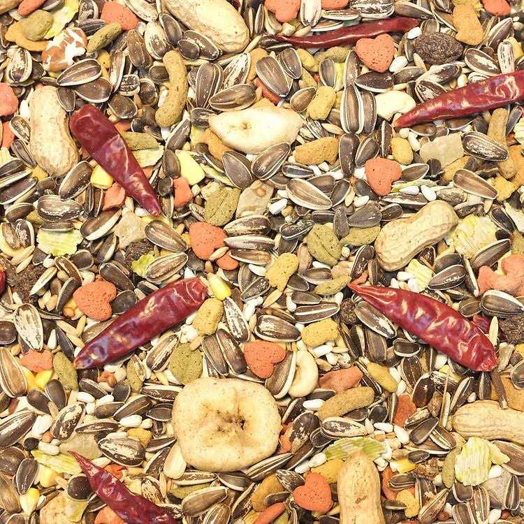 Dove Food C26260