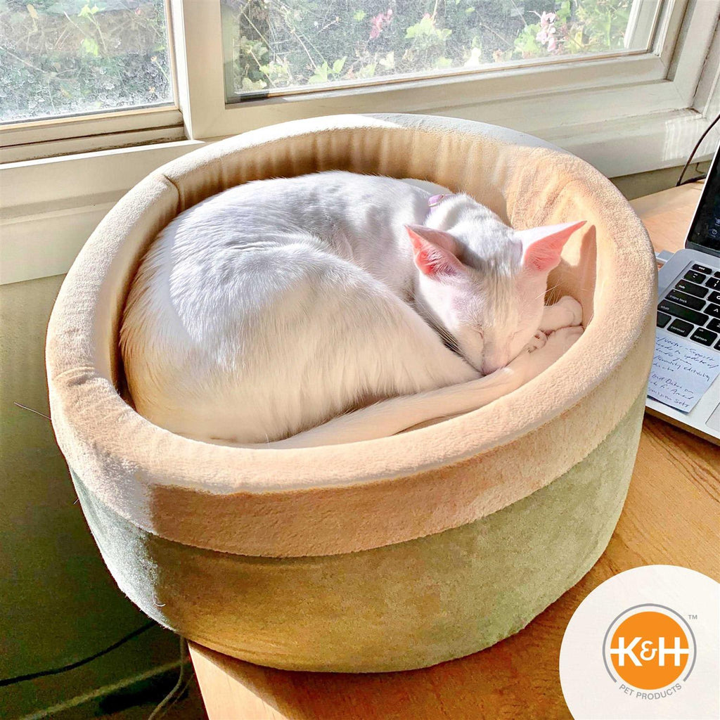 Cat Bed G616870