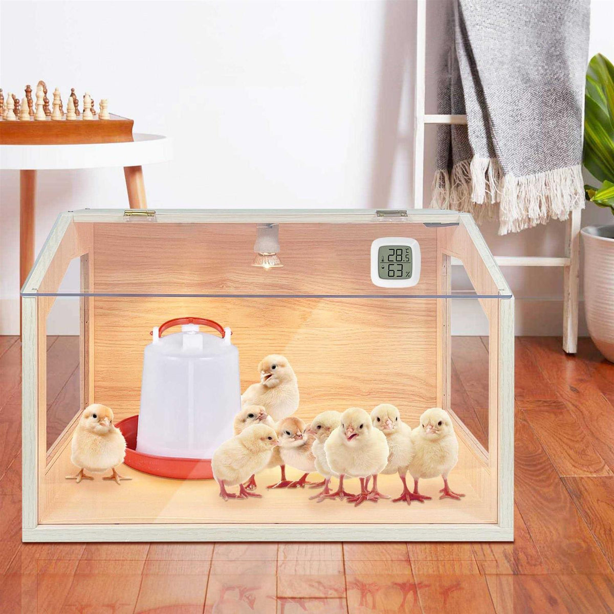 Intelligent Brooder Box with Built-in Heating Lamps P237