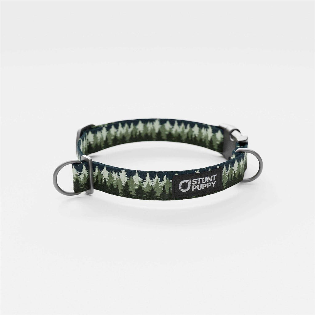 Collar J41779
