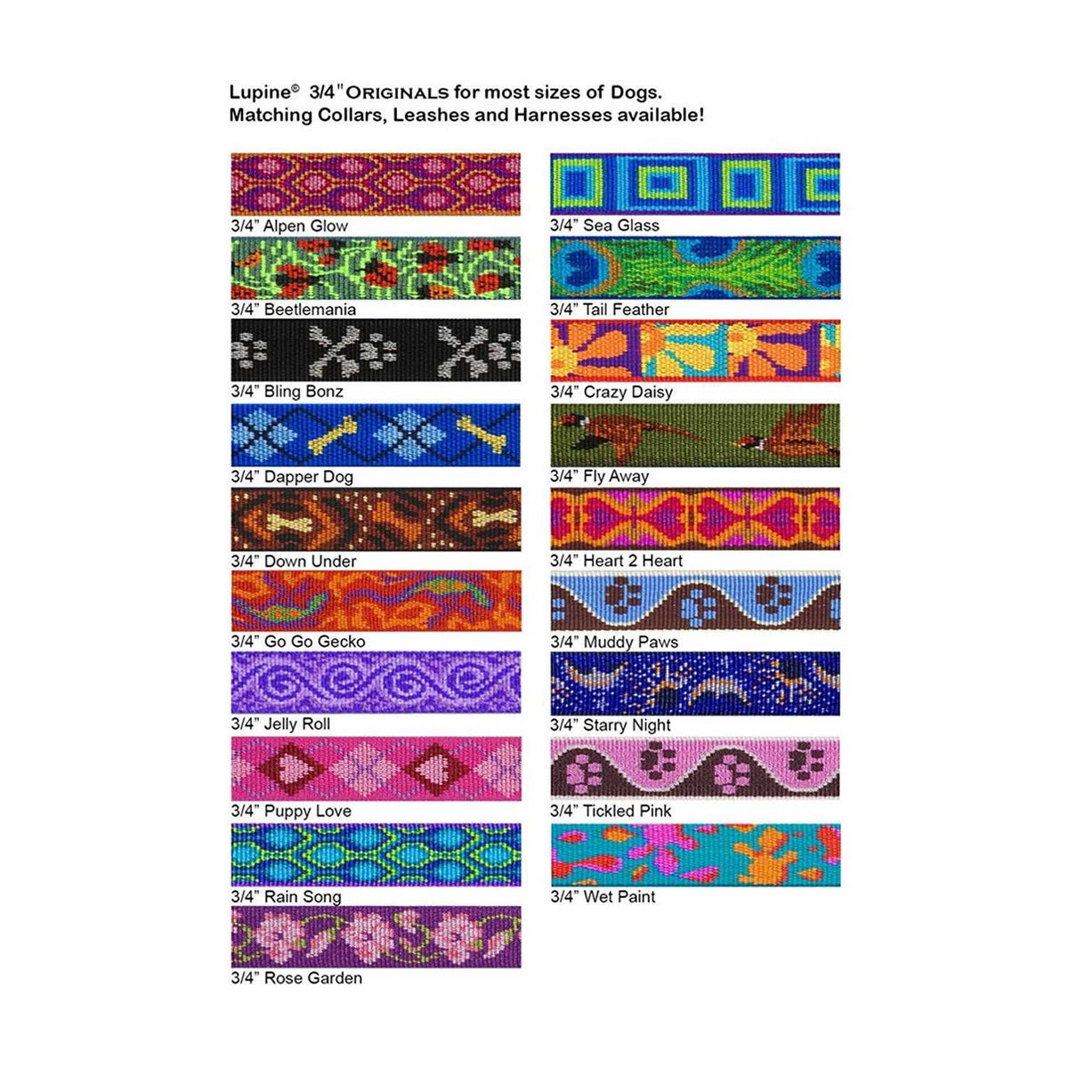 Martingale Collar I717