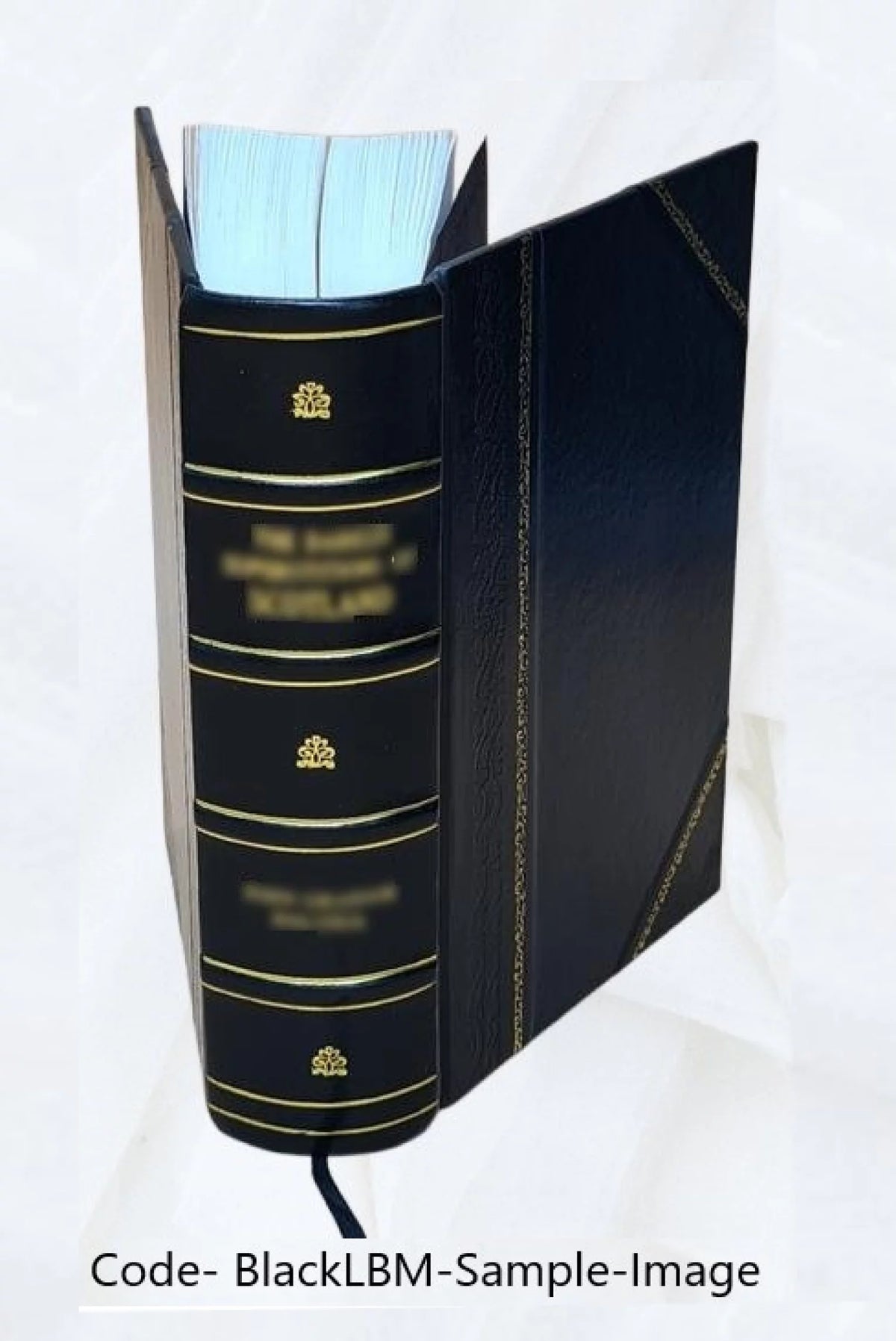 Annual report Secretary of the Interior Leather Bound F115