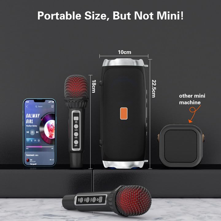 Portable Bluetooth Karaoke Machine with 2 Wireless Microphones A502774