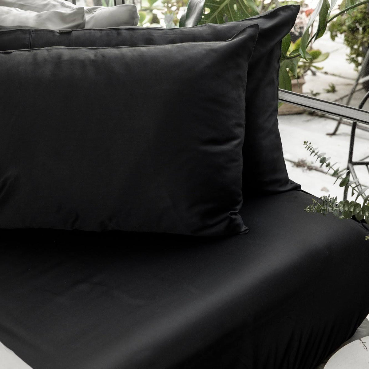 Queen Rose Fitted Sheet G253814