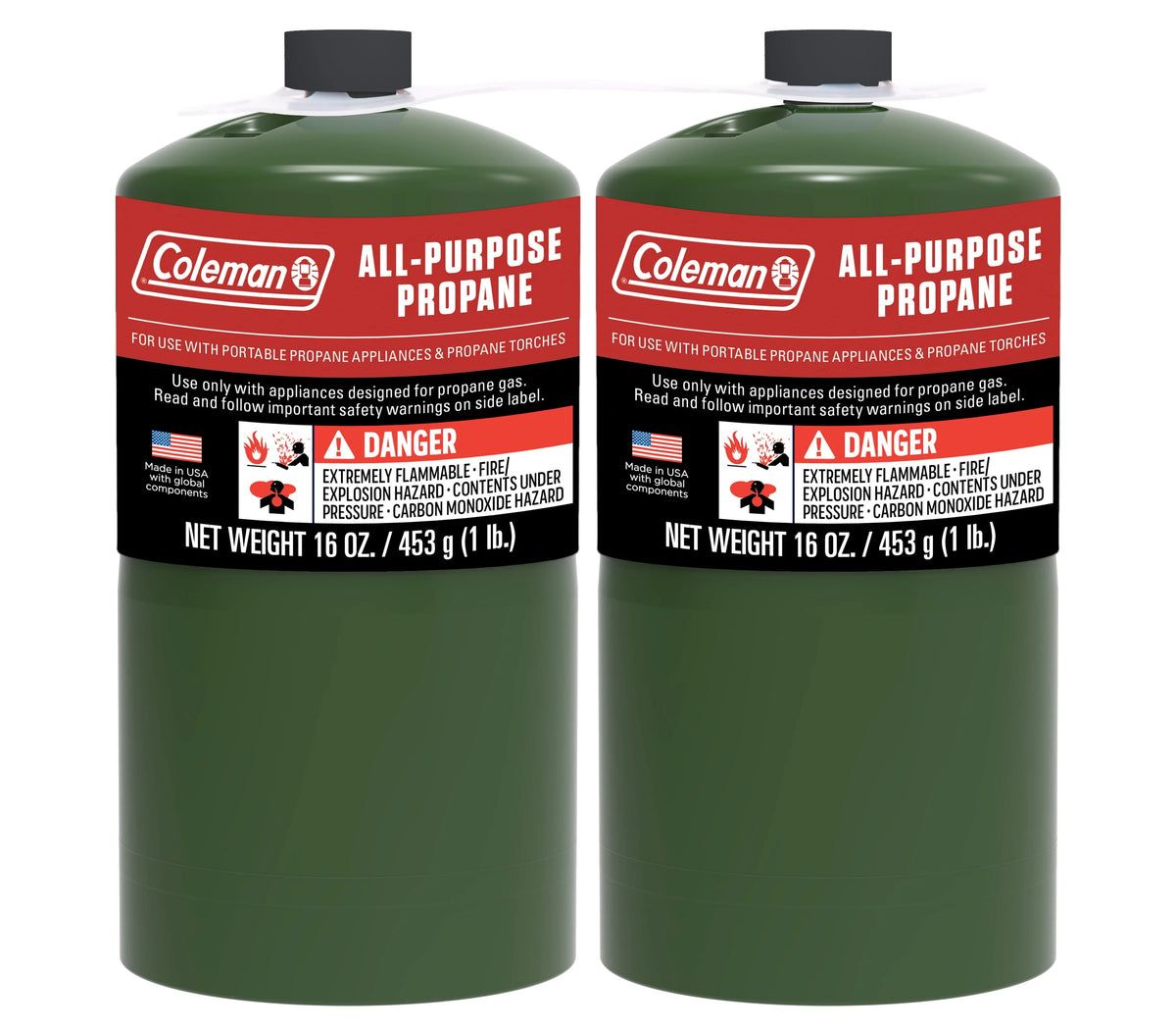 16 ounce 2-Pack Propane Gas Cylinder Z77505