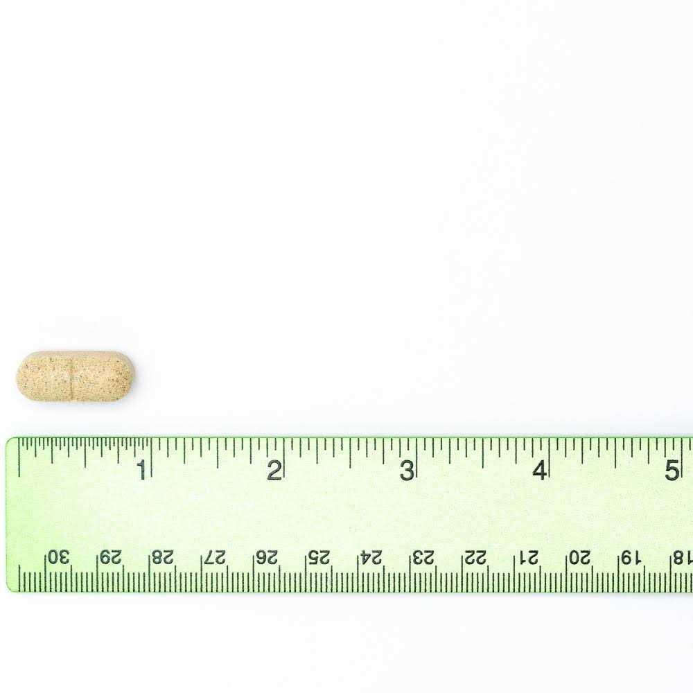600 mg Hip & Joint Supplement for Dogs E779