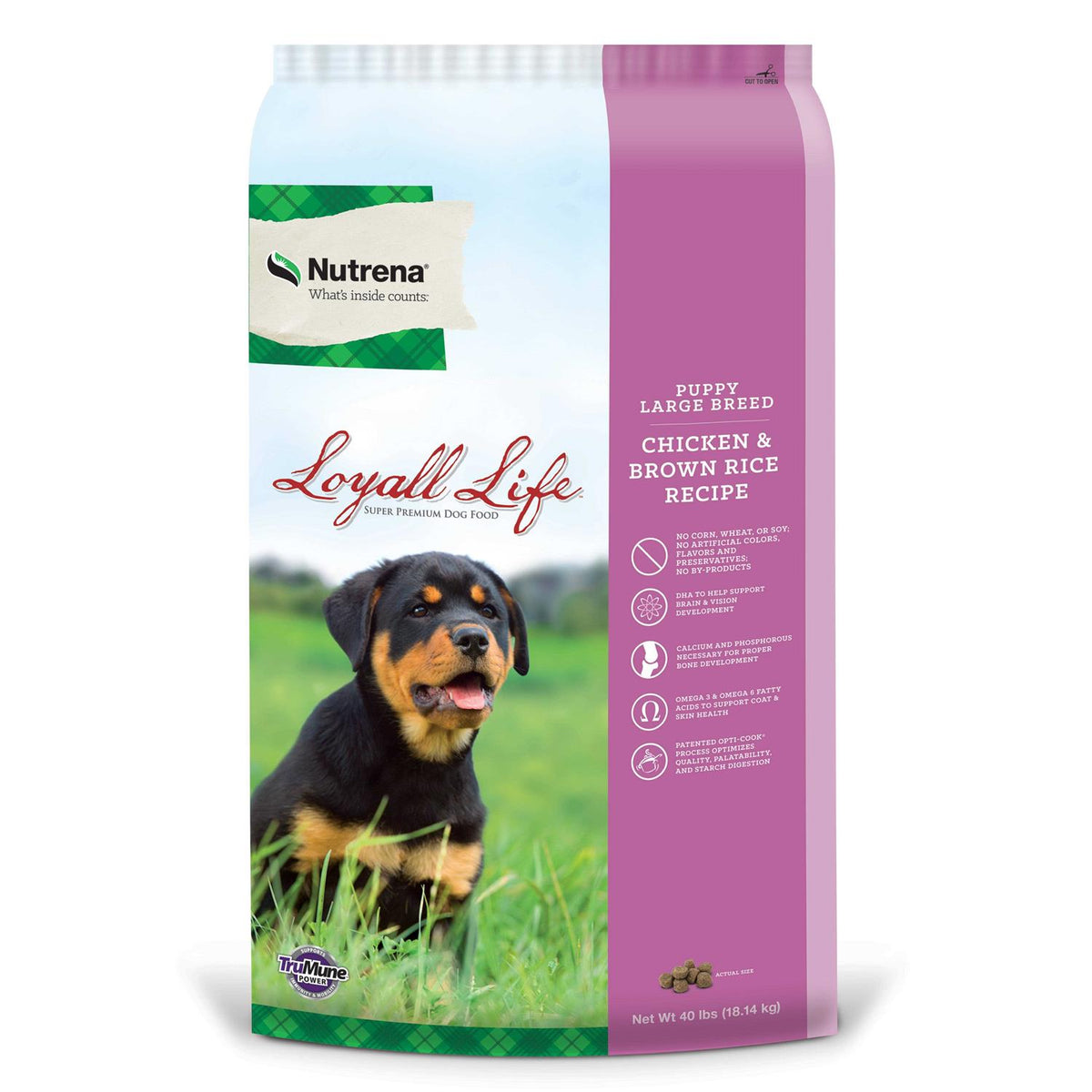 Puppy Large Breed Chicken & Brown Rice D50719