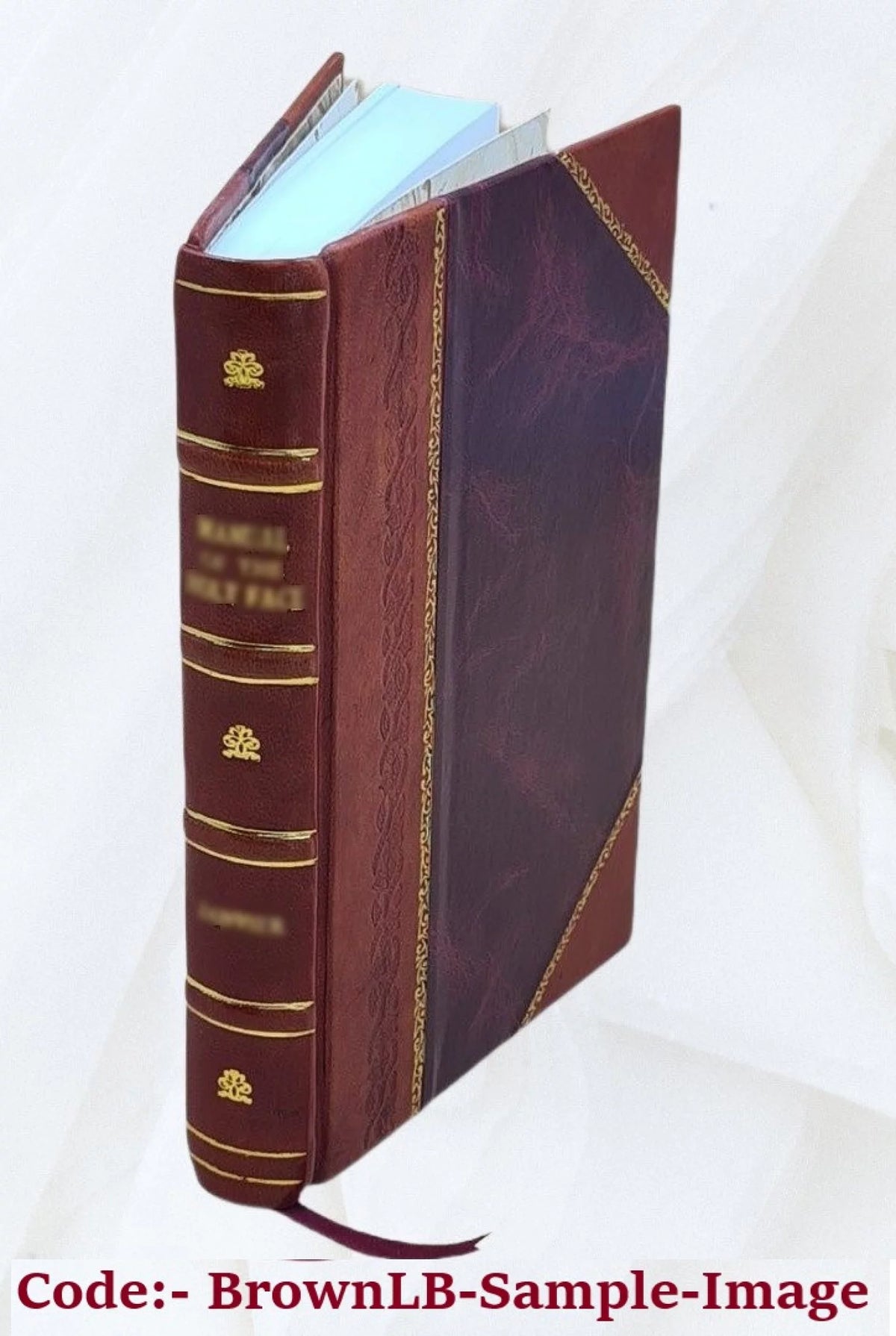 Furniture & Decoration Leather Bound L98324