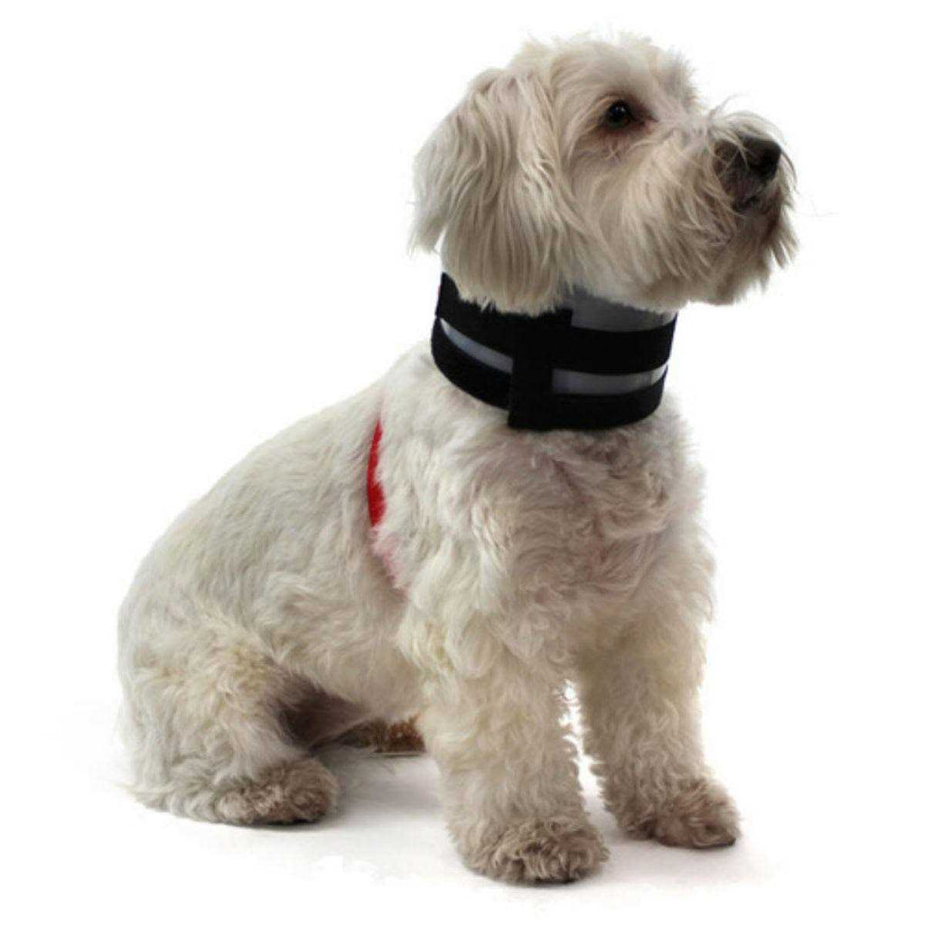 Collar J123