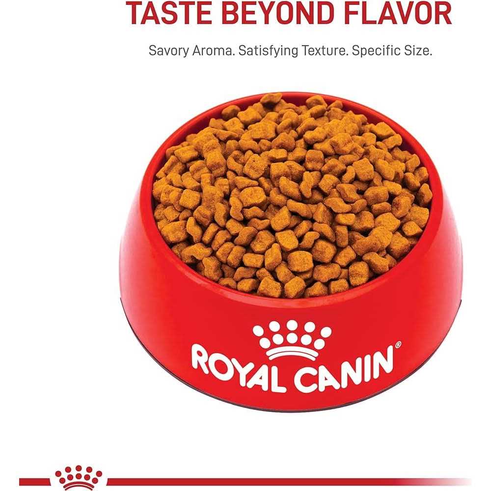 Dry Dog Food V5177