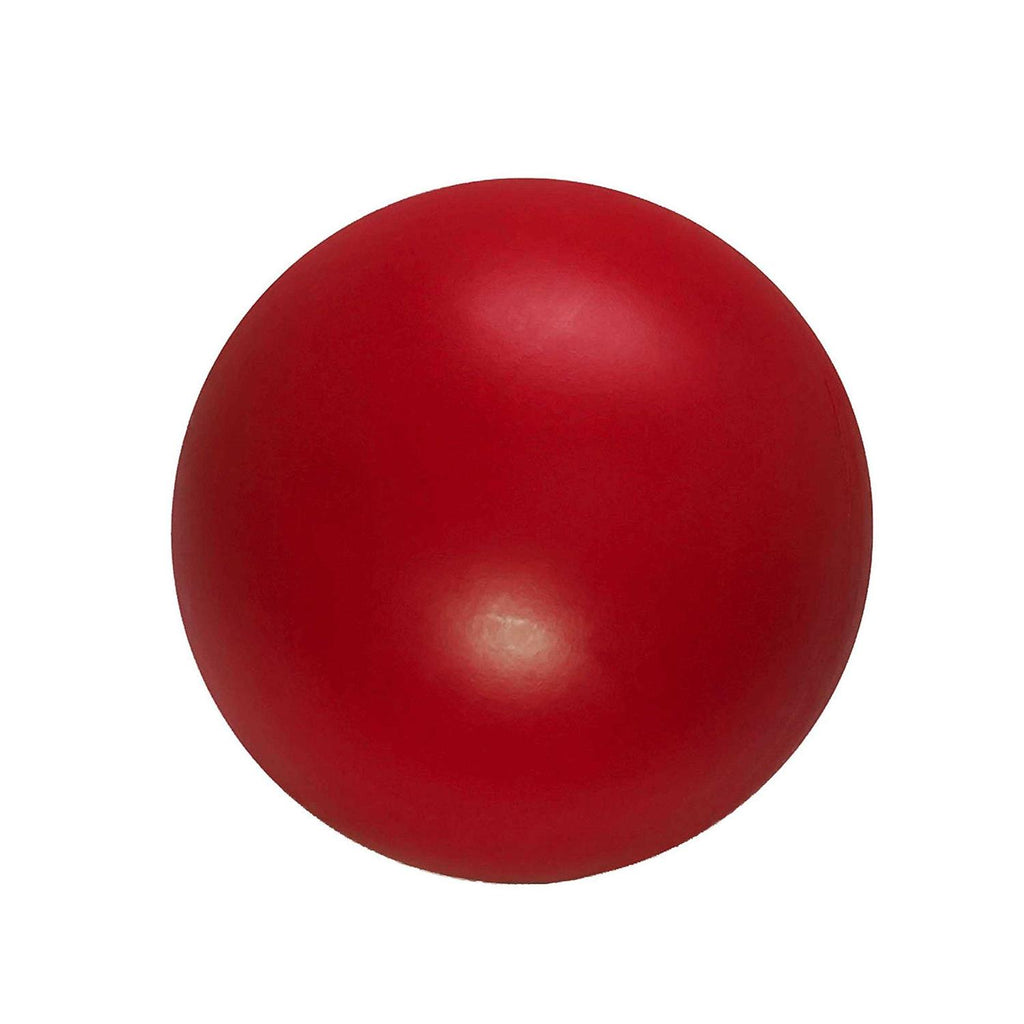 Virtually Indestructible Ball 4.5 inches Z871