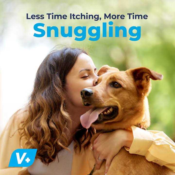 Seasonal Allergy & Immune Soft Chews for Dogs F243