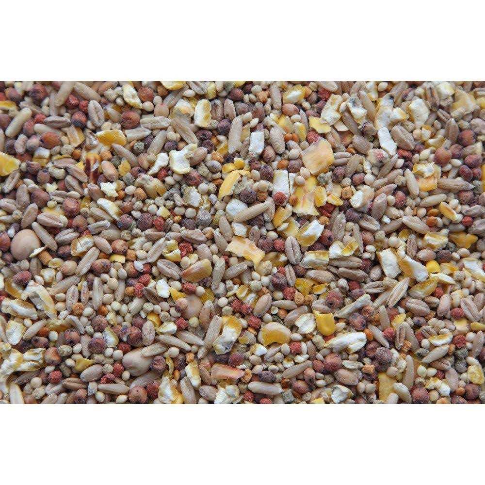 Dove Food C26260