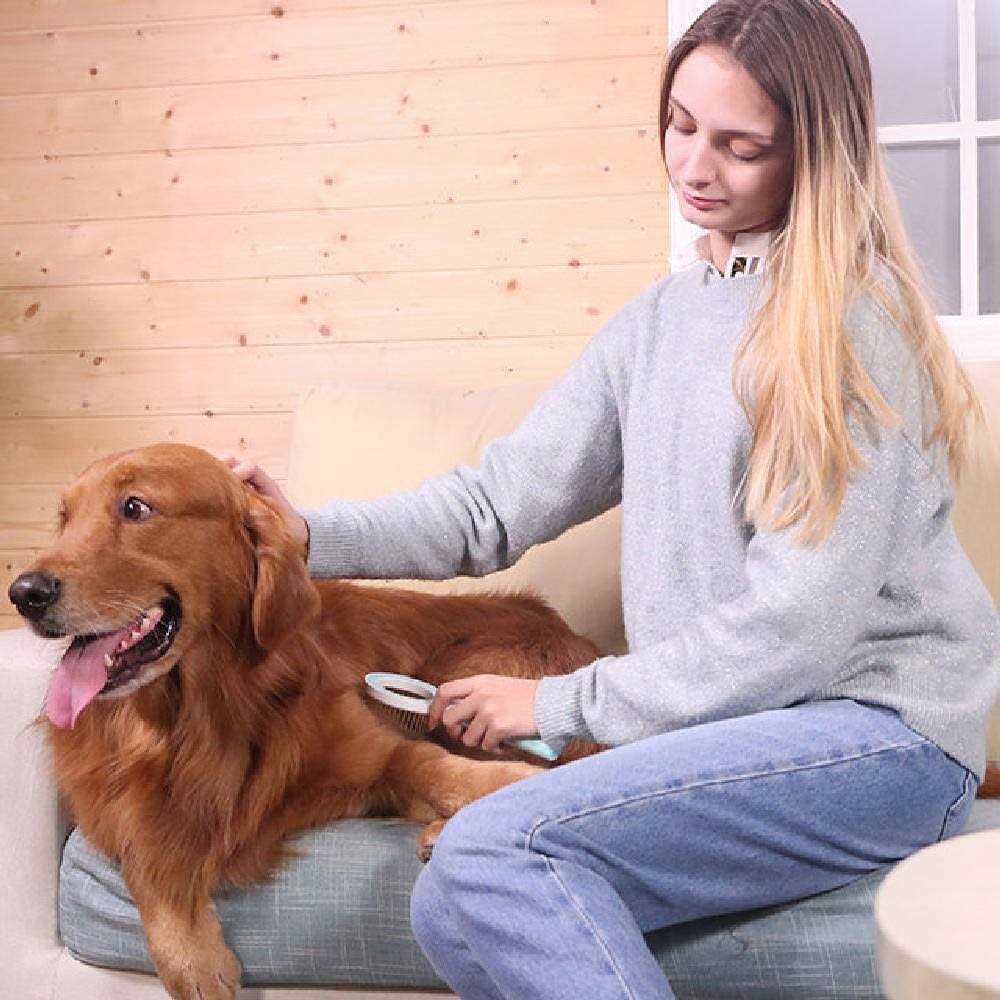 360 Degree Multi-Directional Pet Rake Comb T904