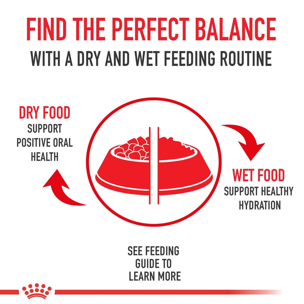 Dry Dog Food V5177