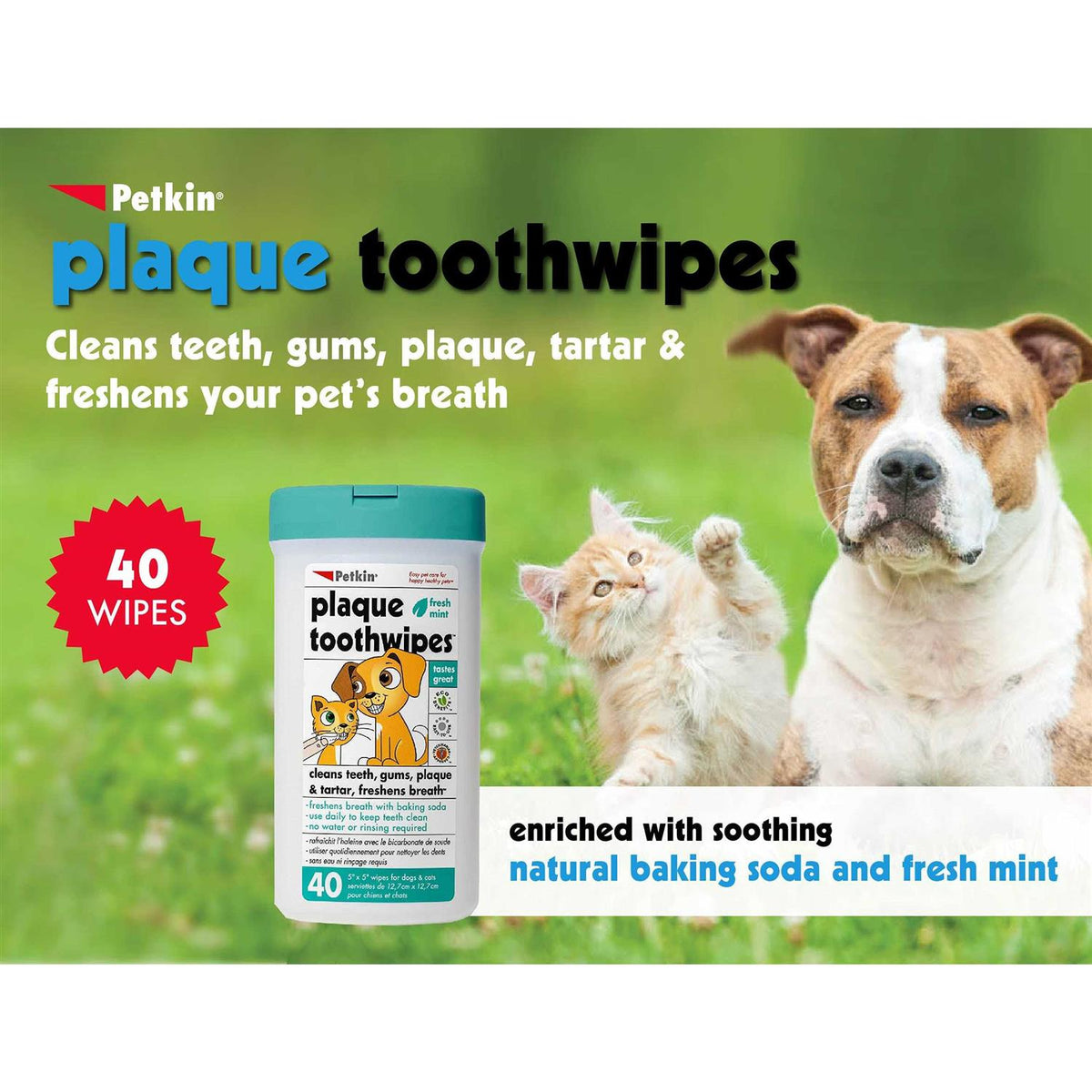 Tooth Wipes V962