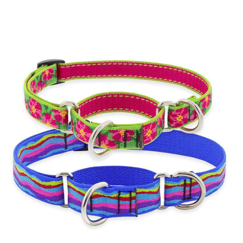 Martingale Collar I717