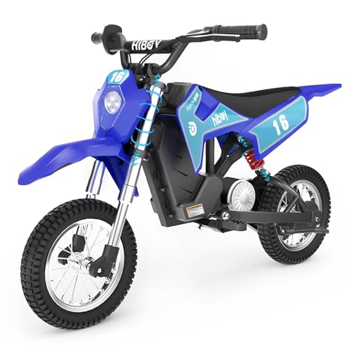 36V 300W Electric Dirt Bike K9113