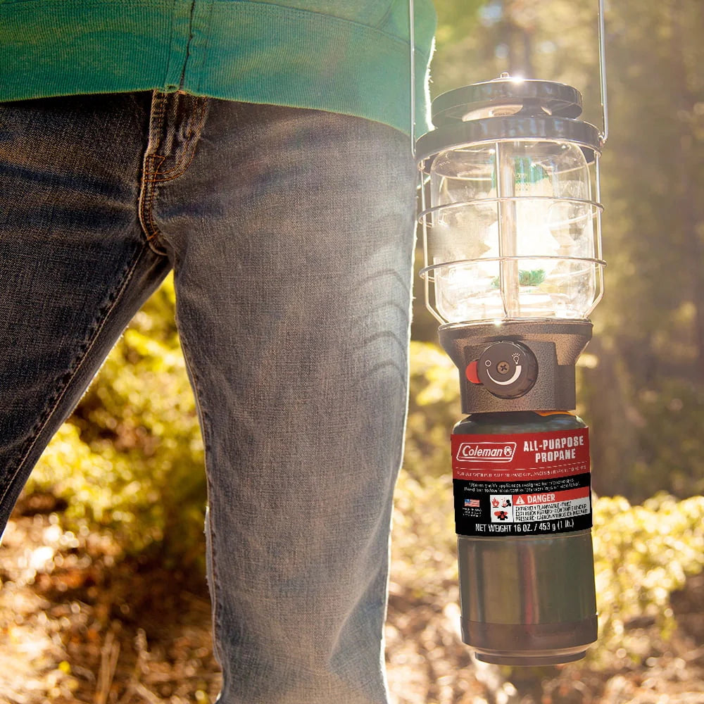 16 ounce 2-Pack Propane Gas Cylinder Z77505