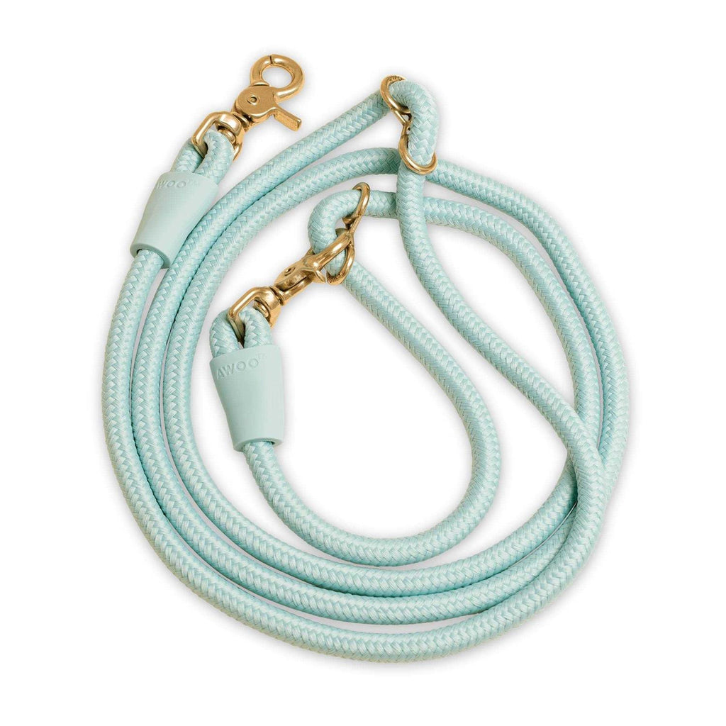 Leash Q24227