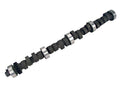 Magnum Camshaft V12869
