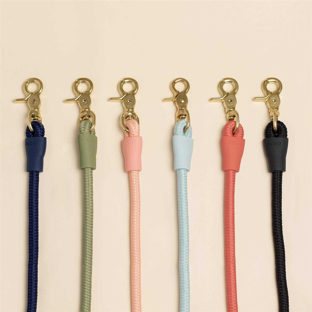 Leash Q24227
