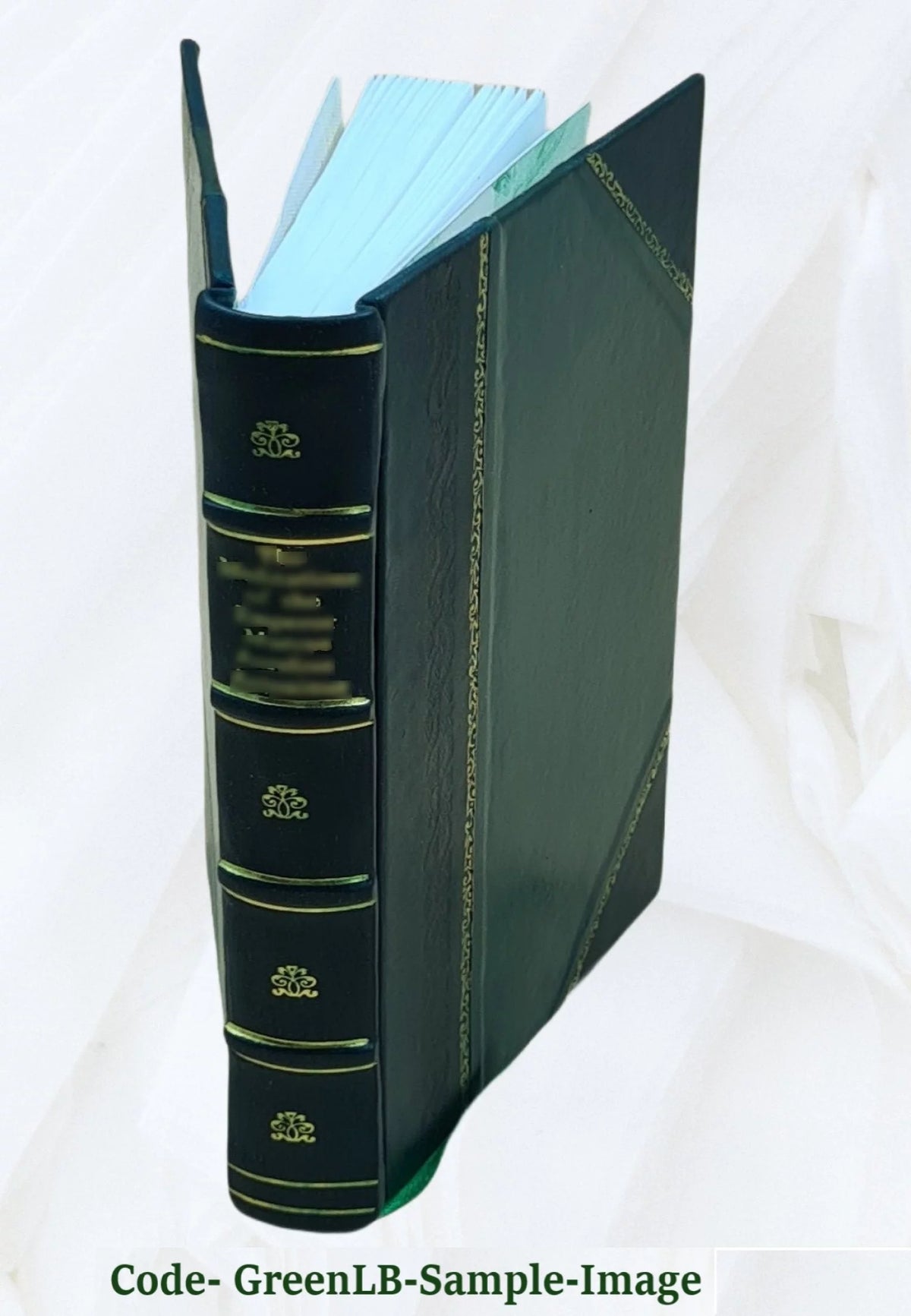Furniture & Decoration Leather Bound L98324